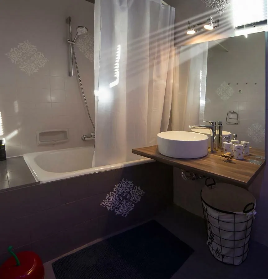 Art Apartment 罗维尼